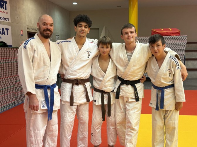 Image de l'actu 'Stage départemental kata + arbitrage'