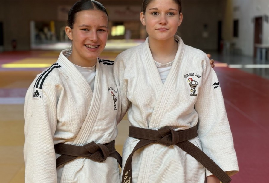 Stage départemental Kata